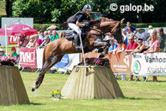 Kampioenschap jonge zes- en zevenjarige eventingpaarden