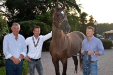 Don VHP Z is paard van het jaar