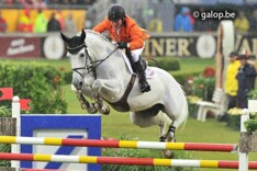 2de veiling Eurocommerce afgelopen