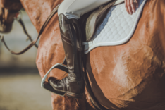 De nationale jumpingkalender is bekend!