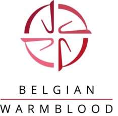 BWP heet voortaan B-W