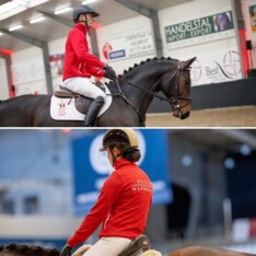 Nieuwe BWP veiling 4-jarige paarden & pony's