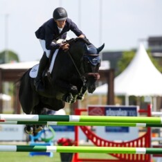 Ashford Farm verkoopt Big Star Jr KZ!