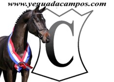 Cumthago en Inar C bevestigen (video!)