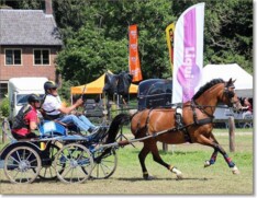 5de plaats voor Freddy Soete op WK in Beesd