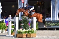 CSI2* Opglabbeek: Steffen en Peeters op 3!