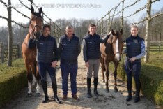Antwerp Diamonds tweede in GCL