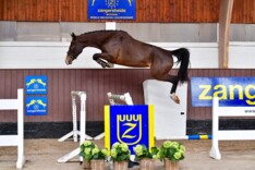 Ogano Sitte levert Z veilingtopper
