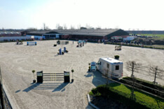 Lander de Bruyn, Thomas van Minnebruggen en Jan Vermeiren pakken uit met een nieuw concept: FUTURE EQUESTRIAN SALES