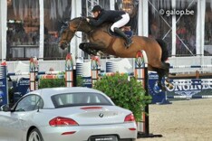 Van Paesschen naar GCT, Wathelet in team