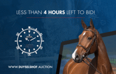 Duyselshof Auction sluit vanavond
