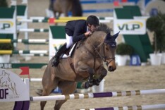 CSI2* Kronenberg: Grote Prijs voor Hoorn