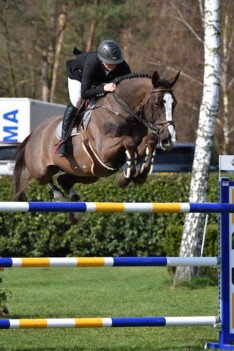 CSI2* Kronenberg: Charlotte Bettendorf wint