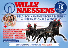 FEI-voorprogramma Elsegem CAI2*