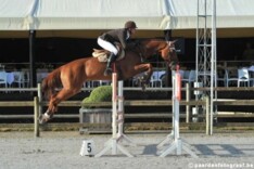 Finales 7-jarigen voor Wathelet en Hendrickx