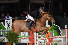 Freddy Demuynck is Belgische sterkhouder in CSI2* GP van Rouen!