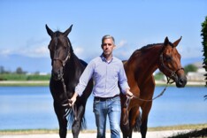Pieter Devos en partners stellen voor ...