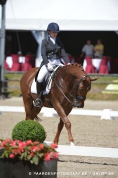 Young Riders vijfde op EK dressuur