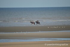 Wandelen te paard niet meer toegelaten!