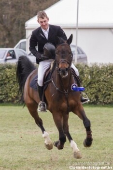 Appelen wint openingsproef CSI3* Lummen