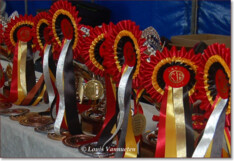 Belgisch Kampioenschap in Elsegem 19-20 sept