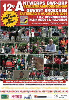 Antwerps Veulenkampioenschap 6 augustus