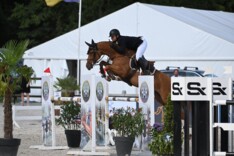 STX Cyclus Jonge Paarden Jumping in de startblokken
