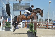Cobbaut derde in GP CSI2* Villers Vicomte