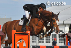 Bellano vd Bosbeek naar Euro Horse voor Jos Verlooy