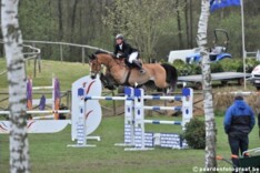 Vereecke en Allegro grijpen Rankingproef