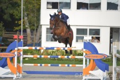 CSI3* Opglabbeek: Belgen net niet in 1.40m