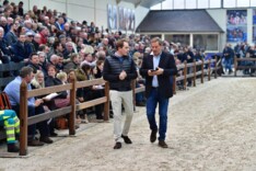 Hengstenshows worden afgelast