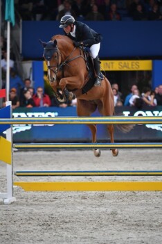 CSI3* Luik: Opnieuw winst voor G. Wathelet!