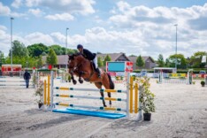 Outdoortrainingen Sport Vlaanderen Waregem