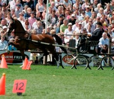 Zinderende shows tijdens Paardenspektakel Beekbergen