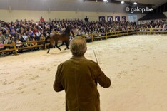 Massale belangstelling op de Roshoeve