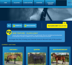 Z Online Auction pakt uit met nieuw concept