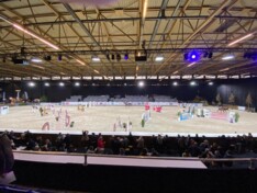 PHC Gent: 26 foutlozen bij de 4-jarigen!