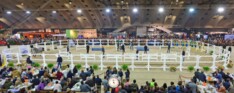 Eerste selectiedagen Auction Mechelen en vrijspringen staan voor de deur!