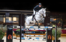 Gallant van de Heffinck veiling topper
