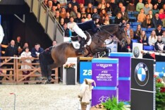 Internationale selecties