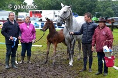 Prijskampseizoen gestart in Moerbeke-Waas