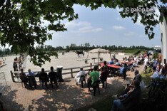 Dressuurpaardenprijskamp Geel nu op 20 juni