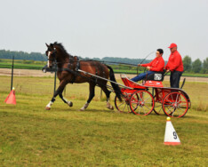 Trainingsdag, beginnende en ervaren menners