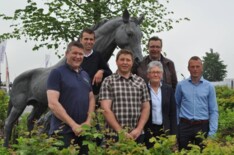 Auction Antwerp meets Flanders Mare Auction