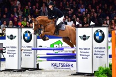 Kincsem winnaar Hengstencompetitie klasse L