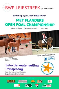 BWP Leiestreek organiseert Foal Championship