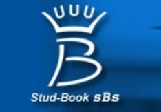 Twintig nieuwe hengsten voor sBs