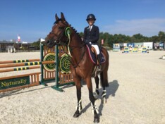 CSI1* Lier: A. Clarys leidt Belgisch podium