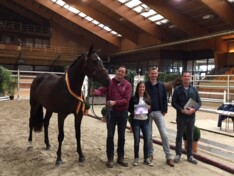 Scoop, Pop Star, Hadewyn winnen vrijspringen